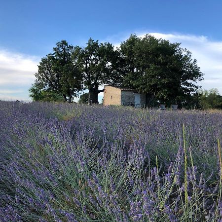 Villa Cabanon Du Berger Saignon Exterior foto